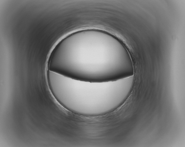 X0000113581516200909181009