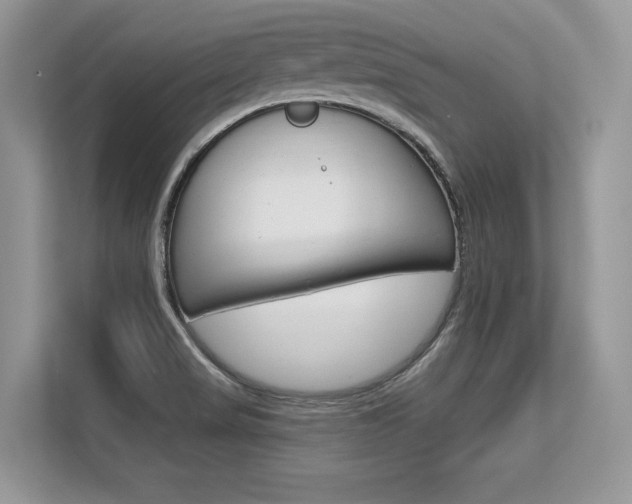 X0000113581517200909181009