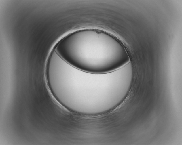 X0000113581518200909181009