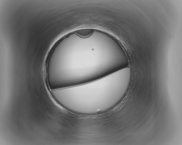 X0000113581519200909181009