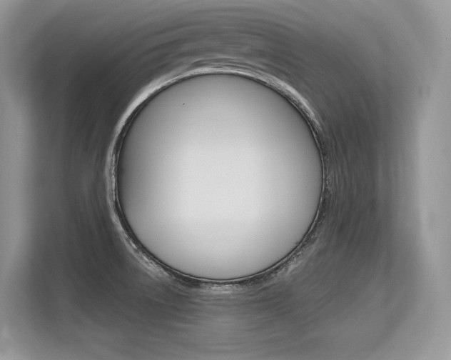 X0000113581522200909181009