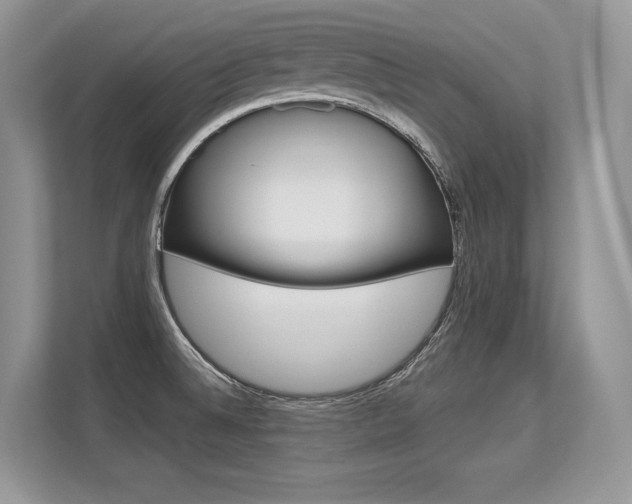 X0000113581524200909181009