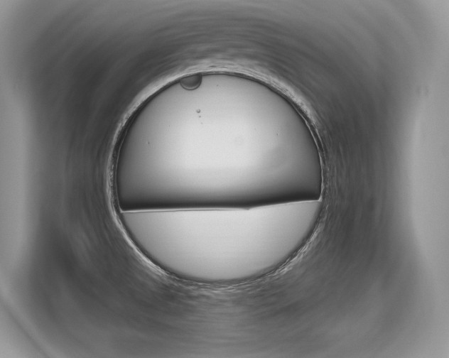 X0000113581525200909181009