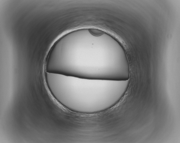 X0000113581526200909181009