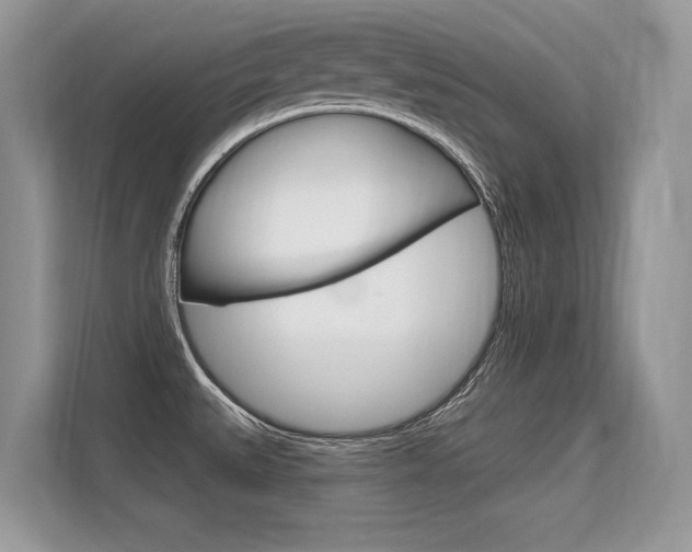X0000113581527200909181009