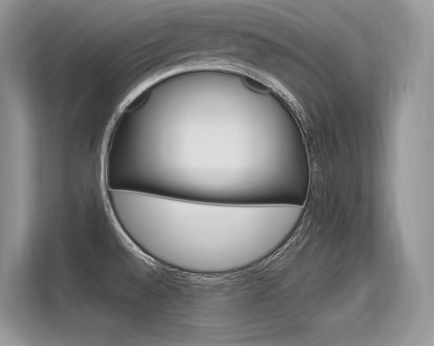 X0000113581528200909181009