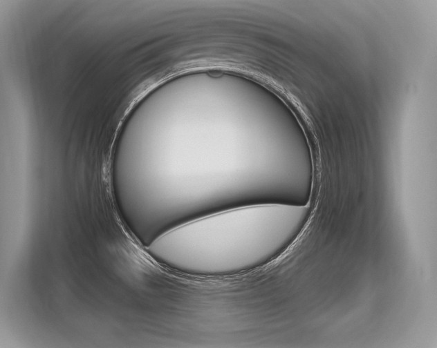X0000113581529200909181009