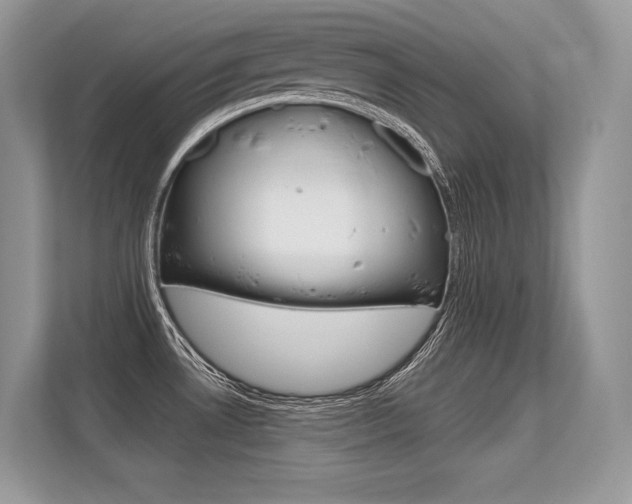 X0000113581530200909181009