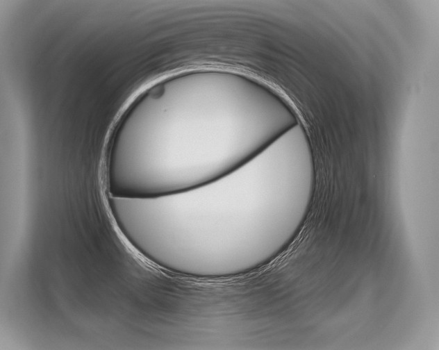 X0000113581531200909181009