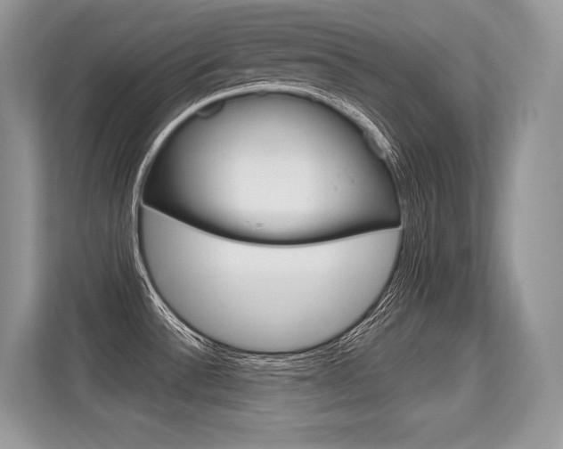 X0000113581532200909181009