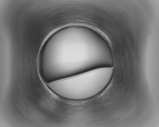 X0000113581533200909181009