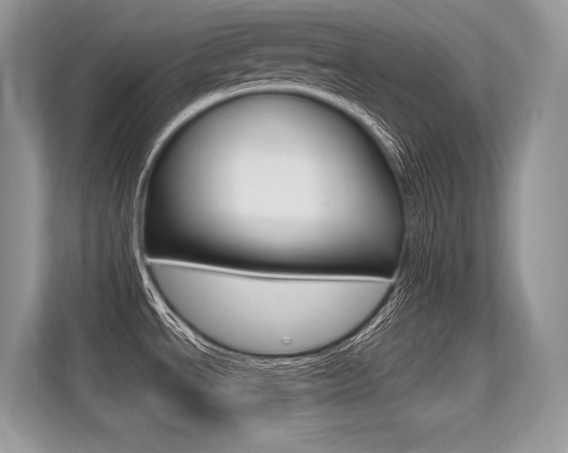 X0000113581534200909181009