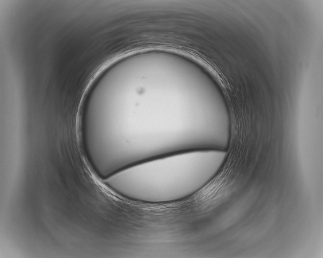 X0000113581535200909181009