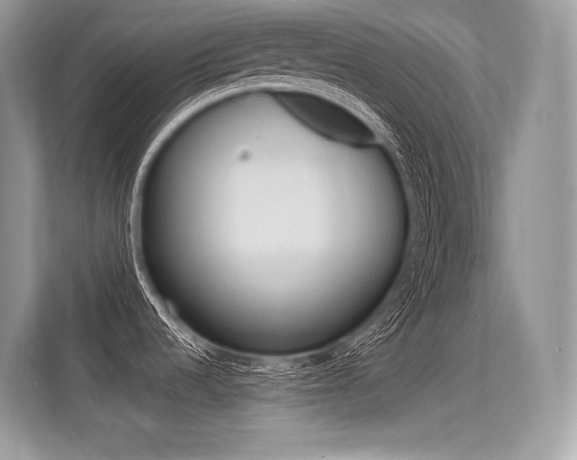 X0000113581536200909181009