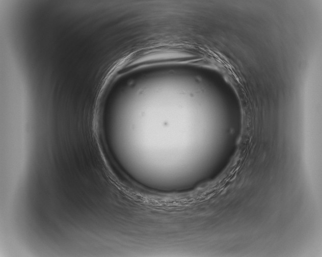 X0000113580003200909181316