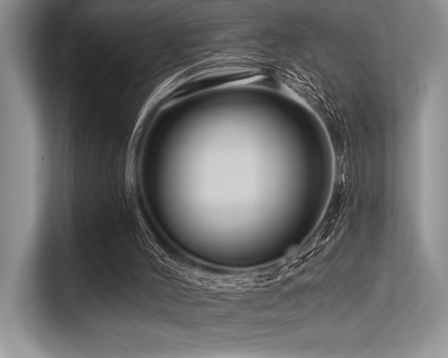 X0000113580004200909181316