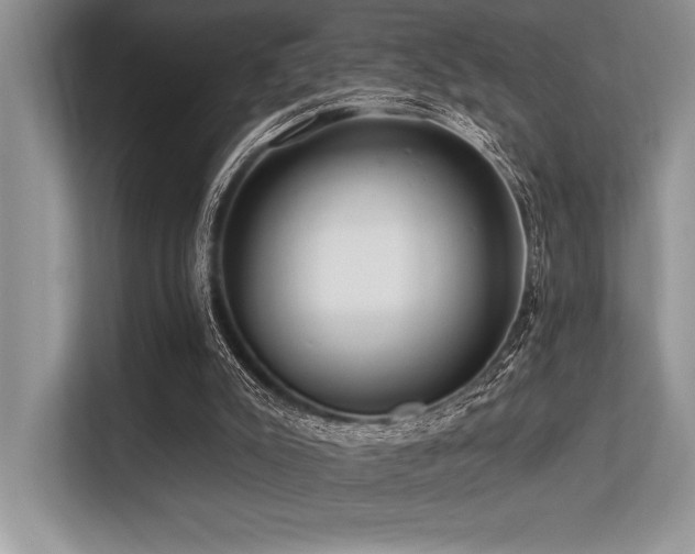 X0000113580007200909181316