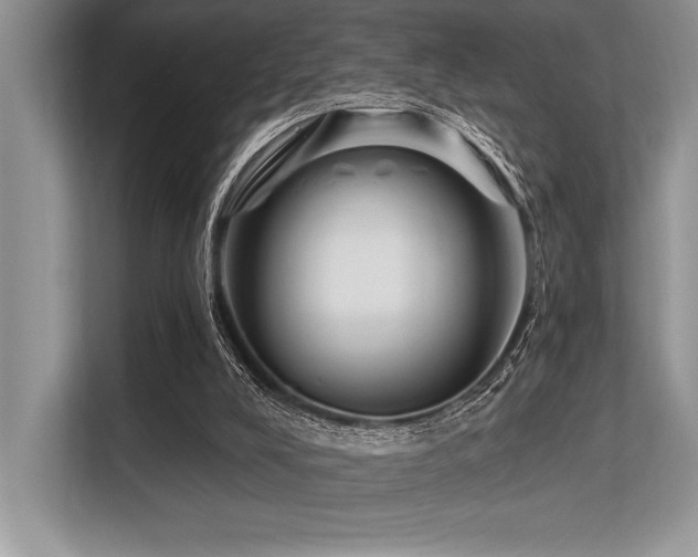 X0000113580008200909181316