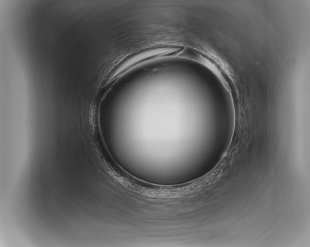 X0000113580009200909181316