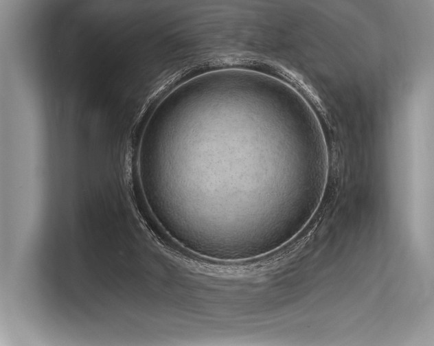 X0000113580010200909181316