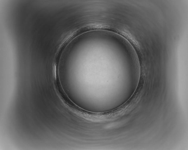 X0000113580014200909181316