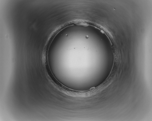 X0000113580015200909181316