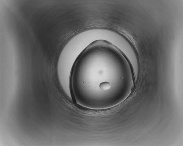 X0000113580017200909181316