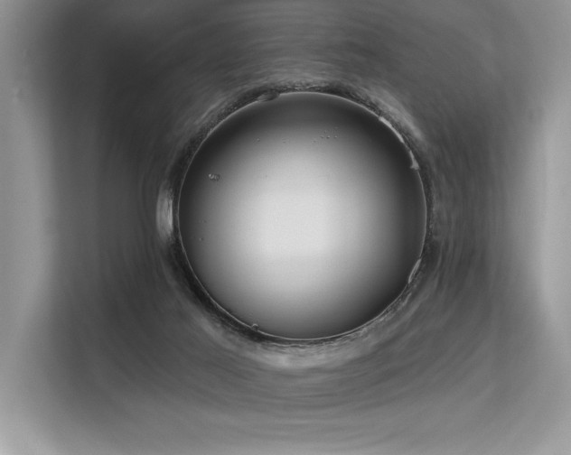 X0000113580021200909181316