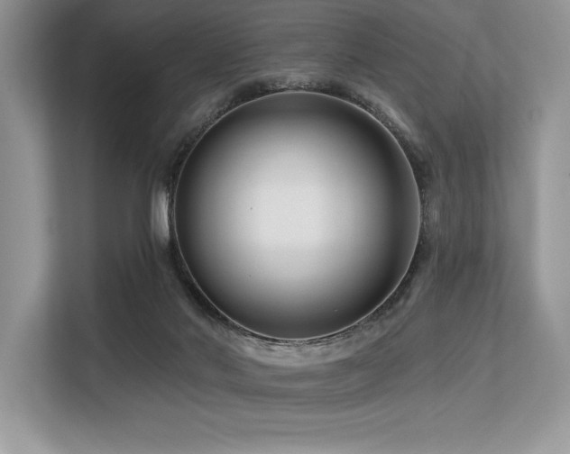 X0000113580022200909181316