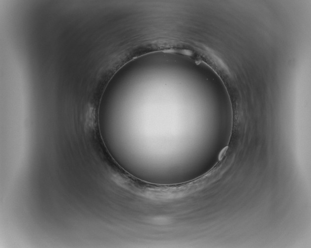 X0000113580025200909181316