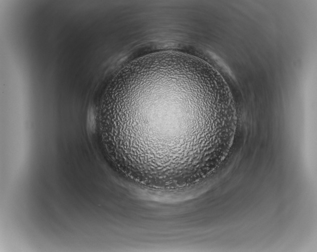 X0000113580026200909181316