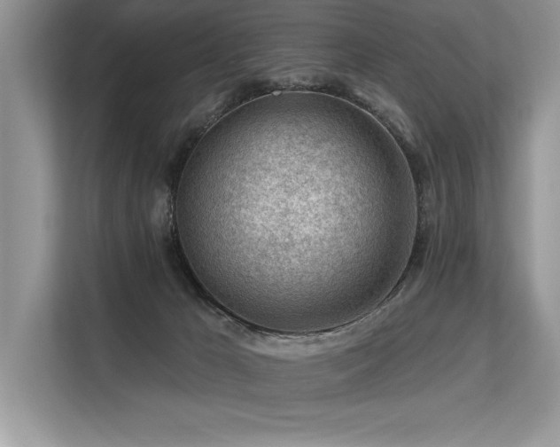 X0000113580029200909181316