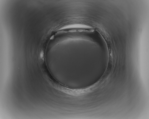 X0000113580031200909181316