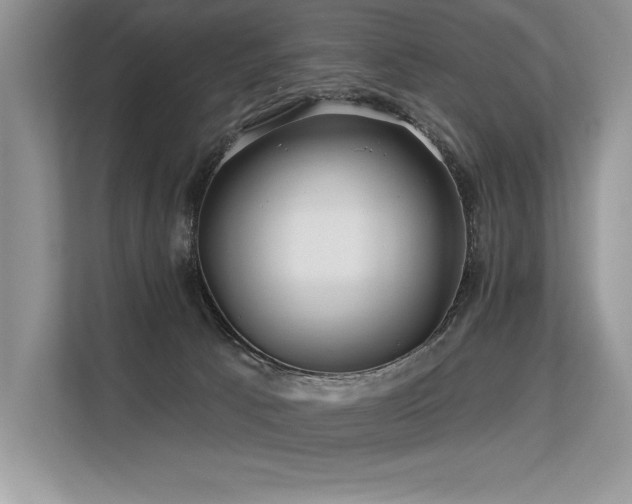 X0000113580033200909181316