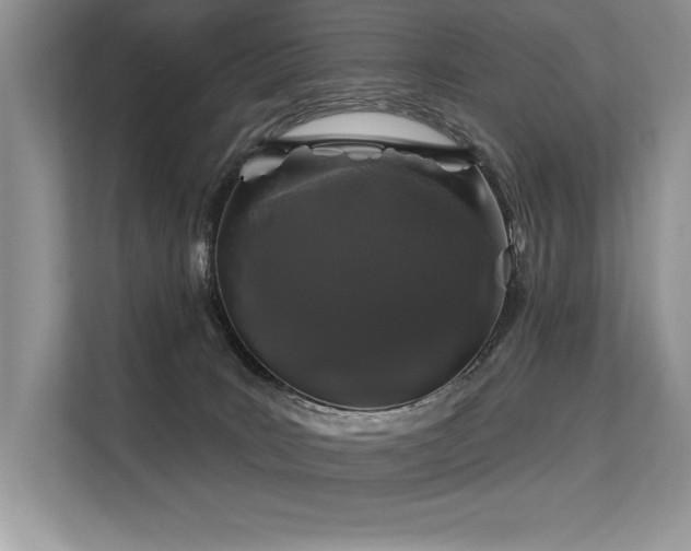 X0000113580035200909181316