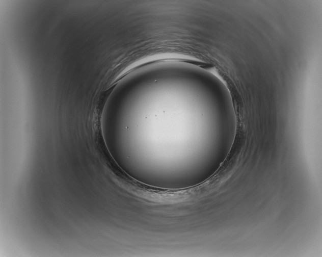 X0000113580036200909181316