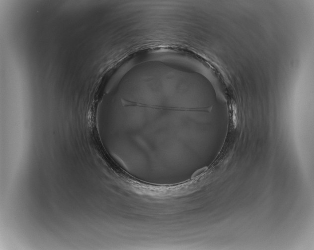 X0000113580039200909181316