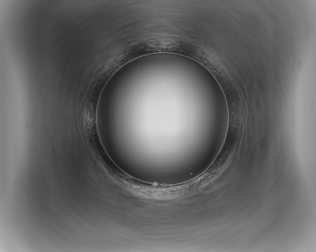 X0000113580040200909181316