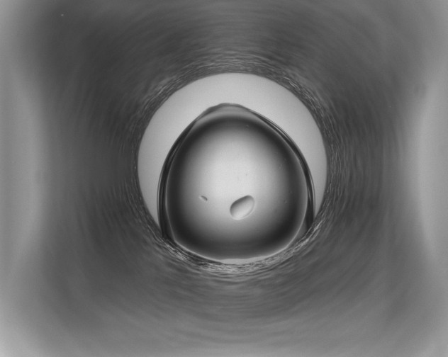 X0000113580041200909181316