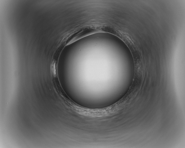 X0000113580042200909181316