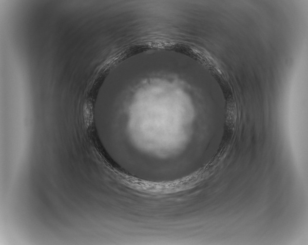 X0000113580043200909181316