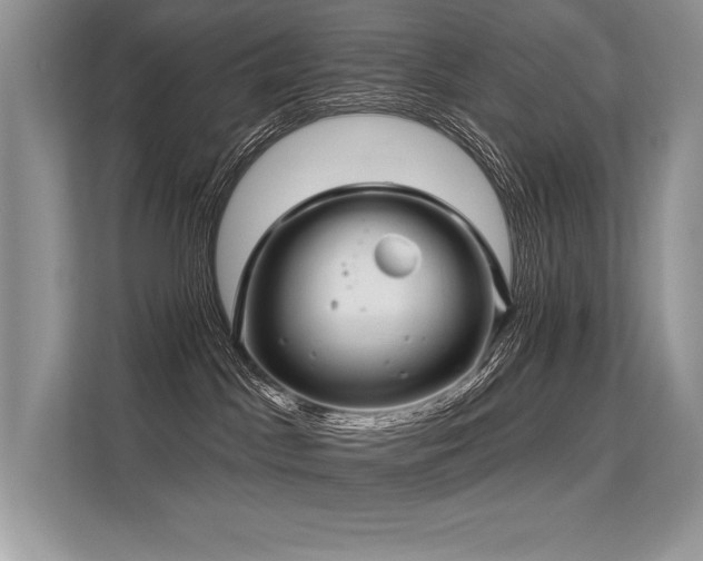 X0000113580045200909181316