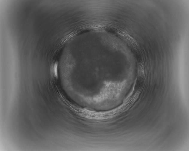 X0000113580047200909181316