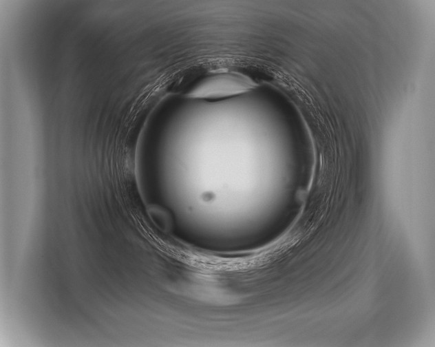 X0000113580048200909181316