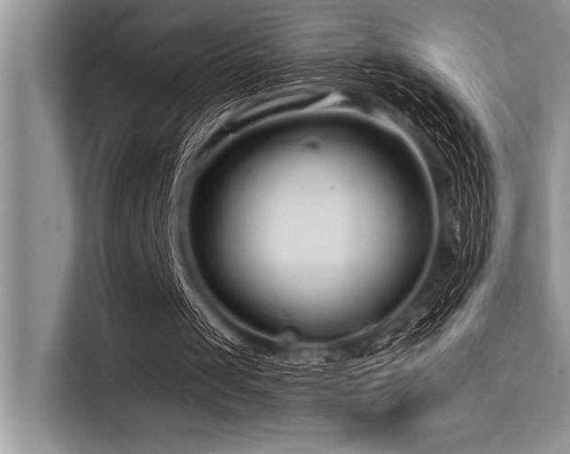 X0000113580049200909181315