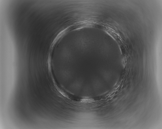 X0000113580051200909181315