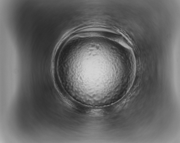 X0000113580055200909181315