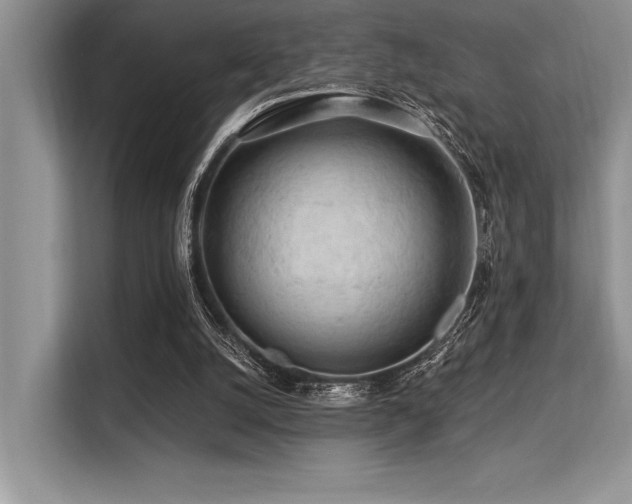 X0000113580056200909181315