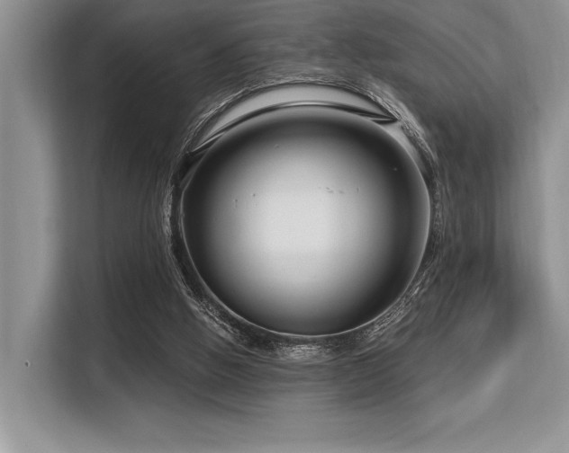 X0000113580058200909181315