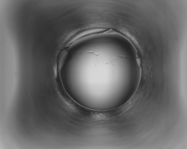 X0000113580062200909181315